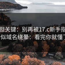冷门但关键：别再被17.c新手指南的相似域名绕晕：看完你就懂了。