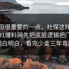 冷门但很重要的一点，社保这样做最稳：91爆料网先把底层逻辑把门道说明白明白，看完少走三年弯路