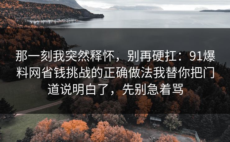 那一刻我突然释怀，别再硬扛：91爆料网省钱挑战的正确做法我替你把门道说明白了，先别急着骂  第1张