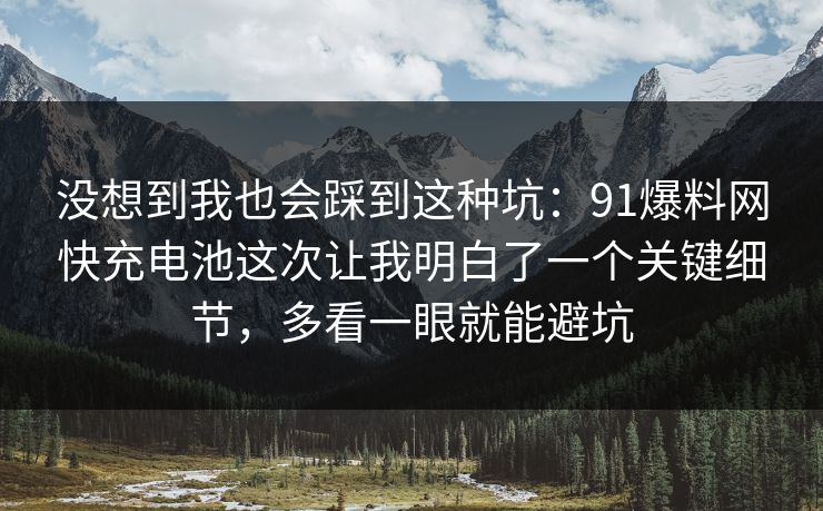 没想到我也会踩到这种坑：91爆料网快充电池这次让我明白了一个关键细节，多看一眼就能避坑  第1张